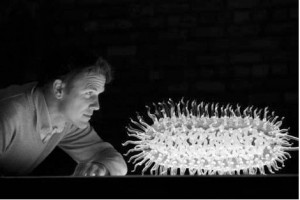 Luke Jerram